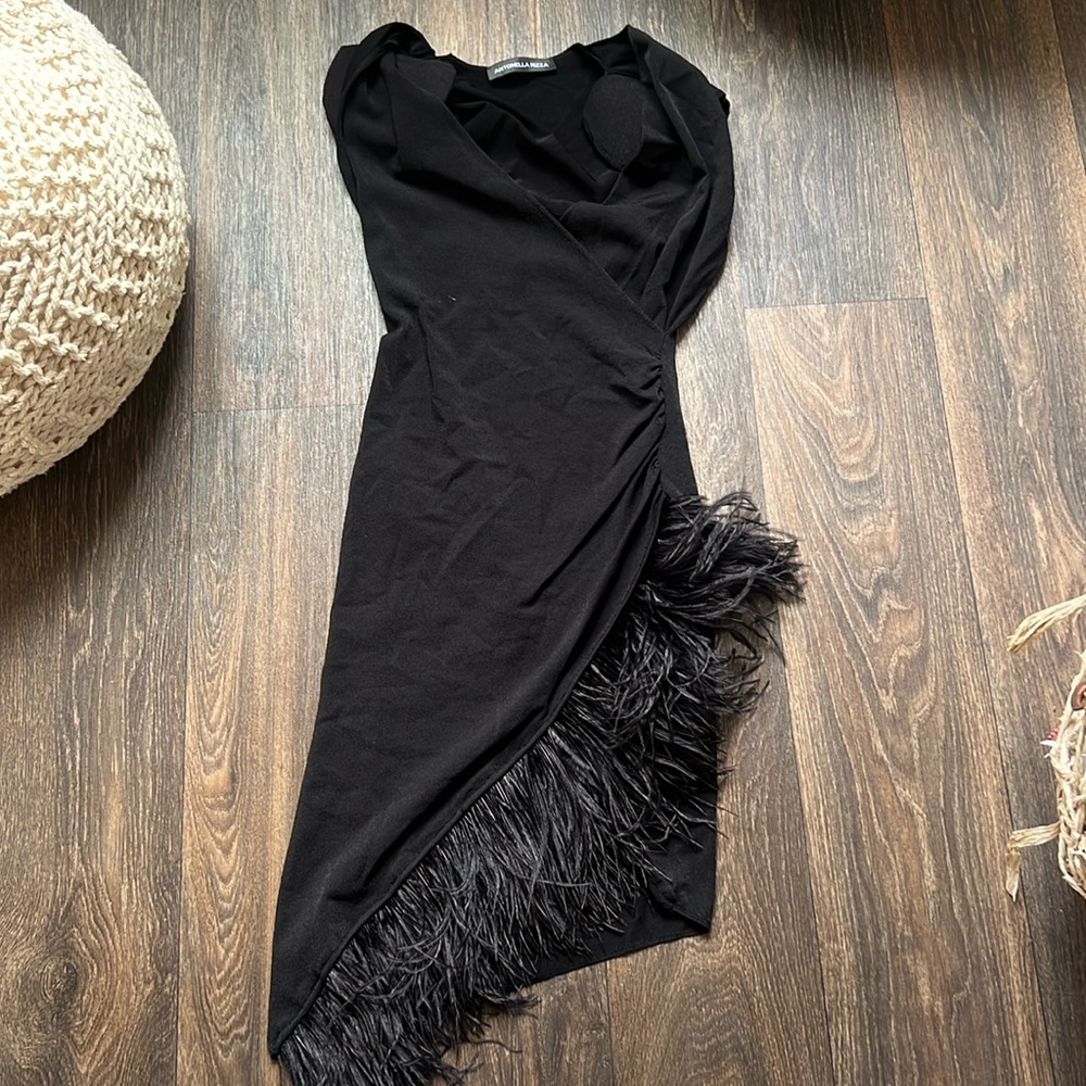 Antonella Rizza Eva feather-trimmed dress